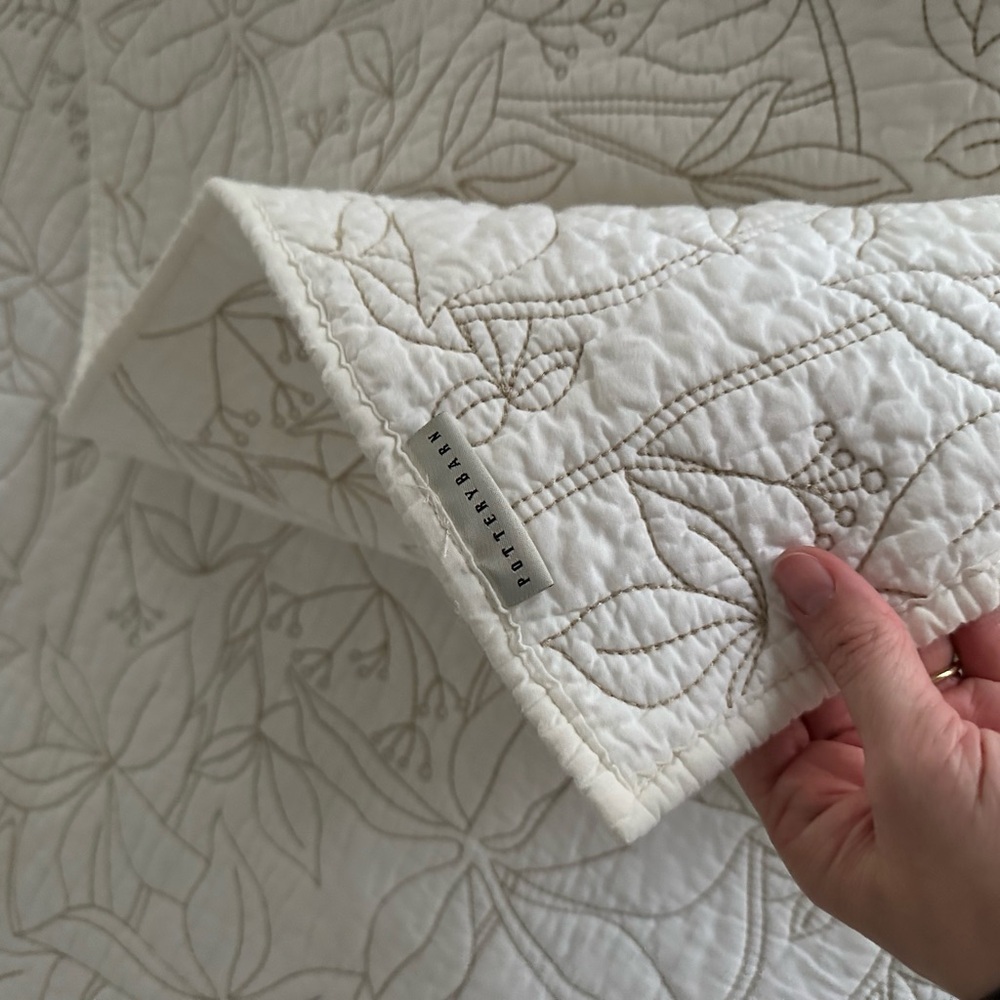 Set of 2 Pottery Barn Twin Quilts